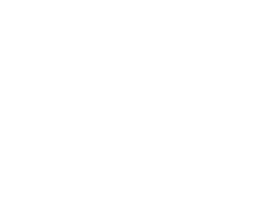 Reformed Youth Ministries